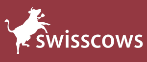 Swisscows ist eine Suchmaschine aus den Schweizer Alpen